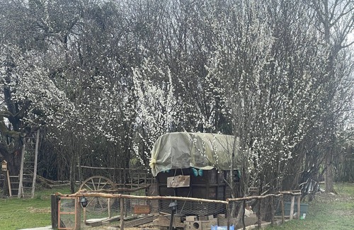 Courlans House | Club House Dans Mini Ferme Danimation et Refuge