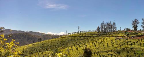 Ooty Resort | Club Mahindra Derby Green, Ooty