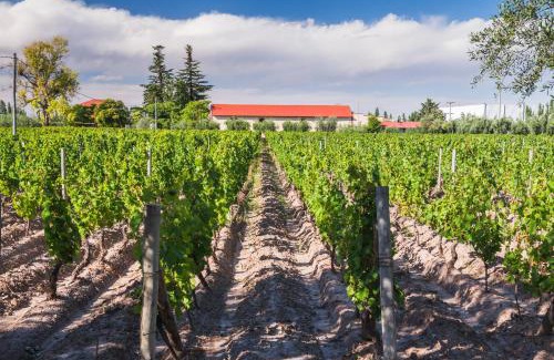 Maipu Resort | Club Tapiz