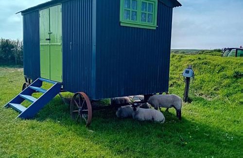 St Ishmaels Other | Coast path camping