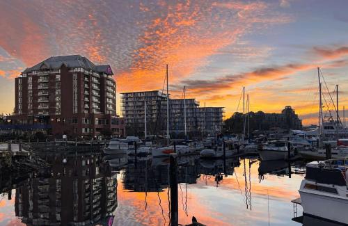Inner Harbour Hotel | Coast Victoria Hotel & Marina by APA