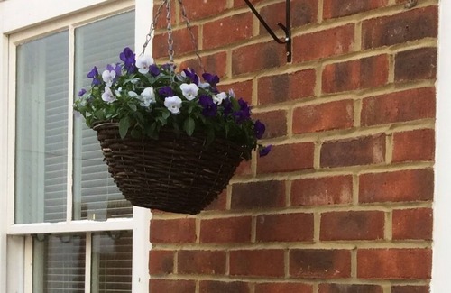 Deal Cottage | Coastal Escape