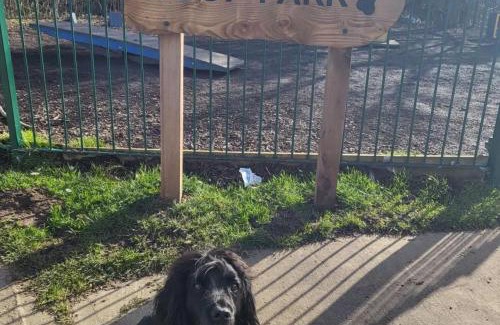 Cayton Bay House | Coastal Retreat at Cayton Bay