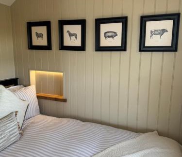 Llanfair Other | coastal view shepherds hut with hot tub