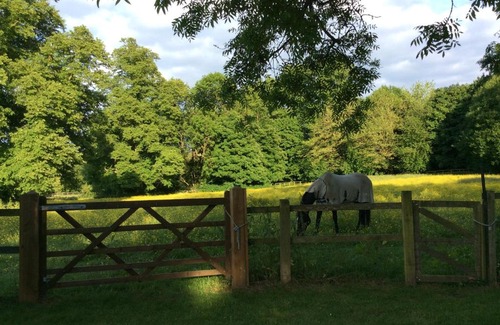 Benington Bed & Breakfast | Cobblestones