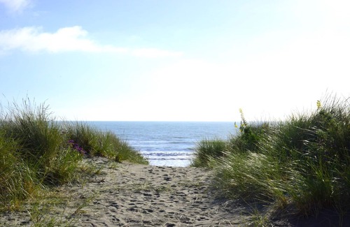 Waimairi Beach Apartment | Cockle Lane Studio 1 - A beachside getaway, just for you.