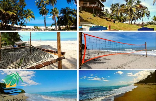 Palomino House | Coco Beach Palomino Hotel