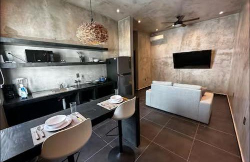 Zazil-ha Hotel | Coco Live Suites