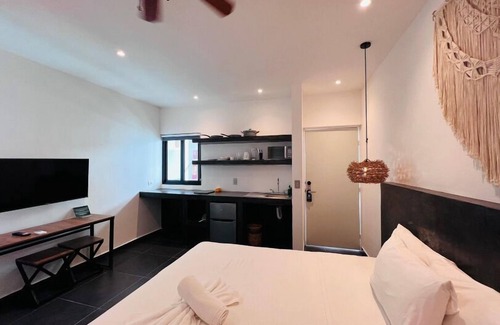 Zazil-ha Hotel | Coco Live Suites