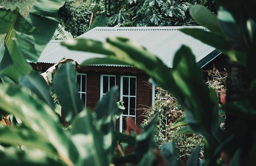 Riviere-Pilote Cabin | Coco Lodge