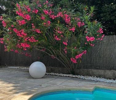 Puget Apartment | Cocon cosy appart romantique, jacuzzi piscine