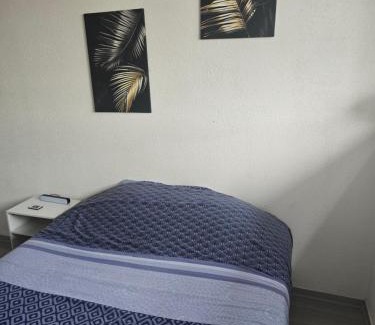 Danjoutin Apartment | Cocon Wifi Netflix Parking Gratuit