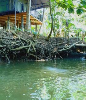 Sevanagala Other | coconut camp udawalawe