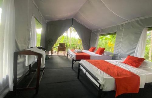Sevanagala Other | coconut camp udawalawe