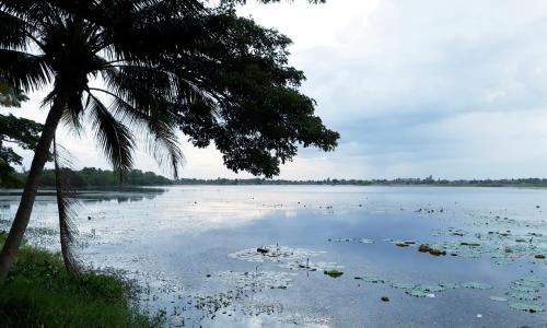 Kantharawichai House | Coconut Palms