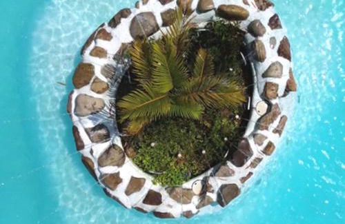 Morales Resort | COCONUT TARAPOTO - ECO RESORT