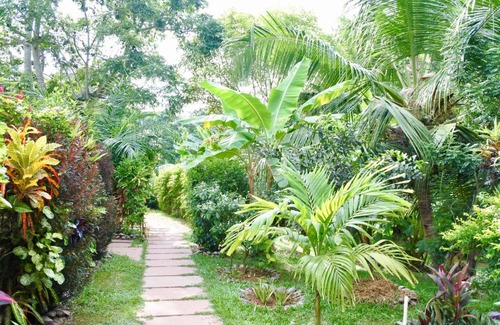 La Digue House | Cocotier du Rocher