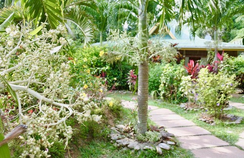 La Digue House | Cocotier du Rocher