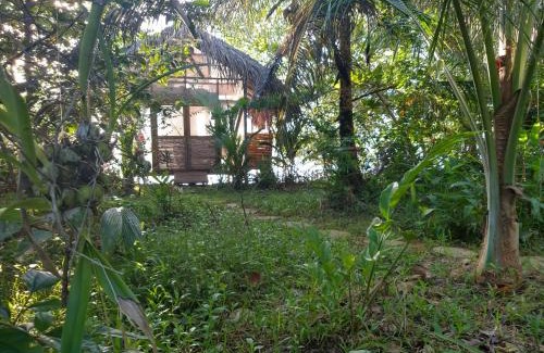 Tierra Oscura Resort | CocoVivo