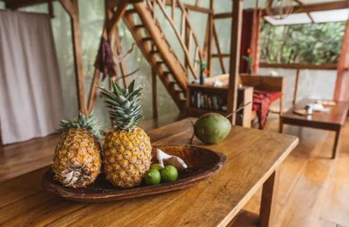 Tierra Oscura Resort | CocoVivo