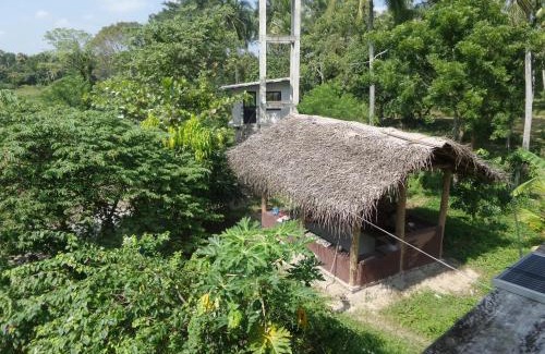 Panduwasnuwara Hotel | cocoworld bungalow