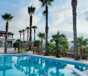 Lamezia Terme Bed & Breakfast | Cocus - By Palmhouse