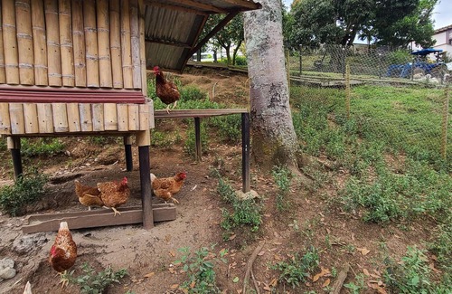Fredonia House | Coffee Farm Retreat