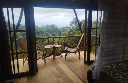 Langkat Cabin | Coffee Farmstay and Roastery in Sumatra, offgrid, authentic, natural