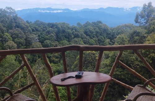Langkat Cabin | Coffee Farmstay and Roastery in Sumatra, offgrid, authentic, natural