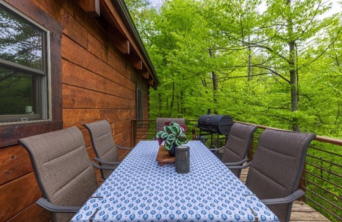 Logan Cabin | Cohosh - Hand hewn private log cabin with views