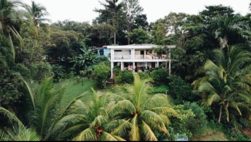 Santa Catalina House | Coibahouse