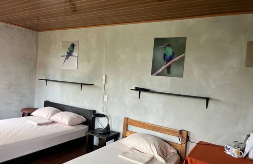 Tayutic Cabin | Colibrí Tayutic Cabins