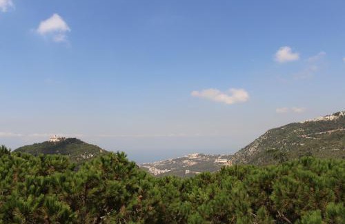 Duhur ash Shuwayr Hotel | Colibri Hotel