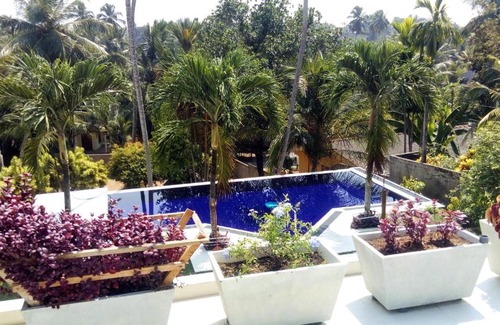 Maggona Bed & Breakfast | Colibri Villa