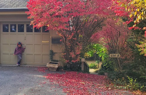 State College Apartment | College Heights Apt - Spacious 1BR, Full Kitchen, 2 Min Drive to Campus
