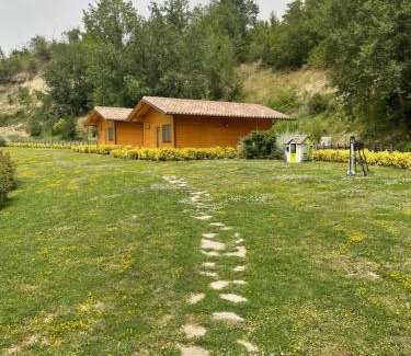 Serra de' Conti Apartment | Colleolivi