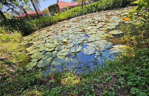 Nuwara Eliya Villa | Colonial Holiday Bungalow in Nuwara Eliya