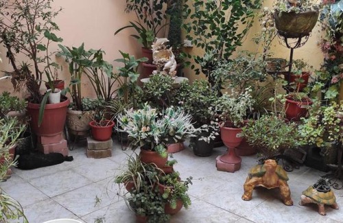 Centro Historico Apartment | Colonial House Instinto Ecuador