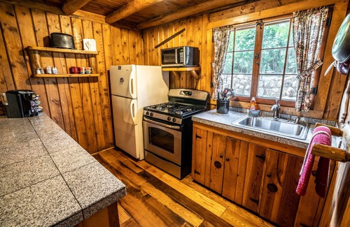 Evergreen Cabin | Colorado Bear Creek Cabin 1