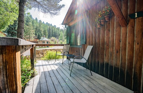 Evergreen Cabin | Colorado Bear Creek Cabin 1