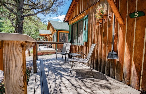 Evergreen Cabin | Colorado Bear Creek Cabin 5