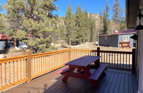 Almont House | Colorado's Hidden Gem: Riverside Cabins, Epic Views & Outdoor Thrills
