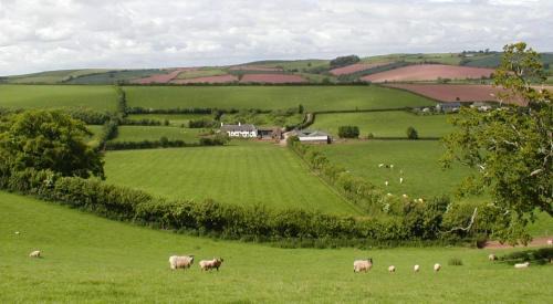 Crediton Bed & Breakfast | Combe Lancey Farmhouse B&B