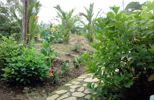 Katira Bed & Breakfast | Come & Feel Like At Home With A Real Costa Rican Family!
