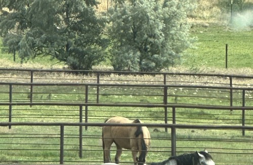 Caldwell Other | Come spend the week at the Silverstone Ranch! Horse arena and stalls available!