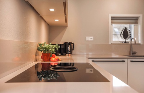 Nooitgedacht House | Comfort 10-person farmhouse in the holiday park Hof van Saksen