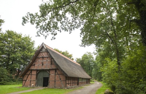 Dwergte House | Comfort 4-person dog bungalow in the holiday park Landal Dwergter Sand