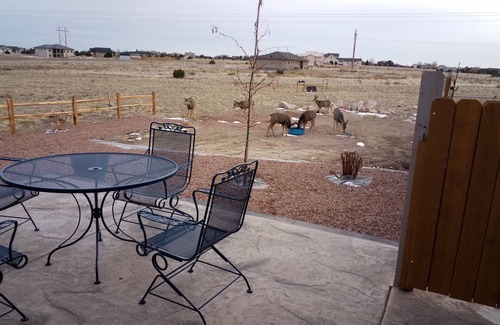 Pueblo West Bed & Breakfast | Comfort and Cool combine at The Hummingbird Casita