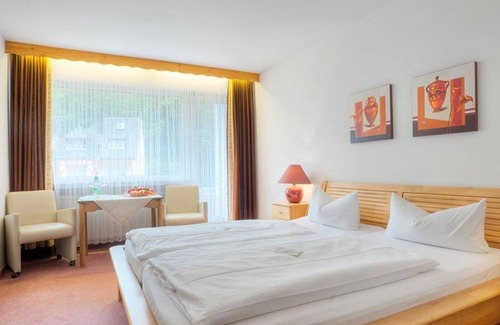 Bad Bertrich Apartment | Comfort Double Room Shower / WC - Hotel Am Schwanenweiher