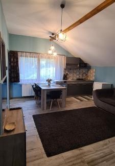 Petrosani Apartment | Comfort Home Apartment 3